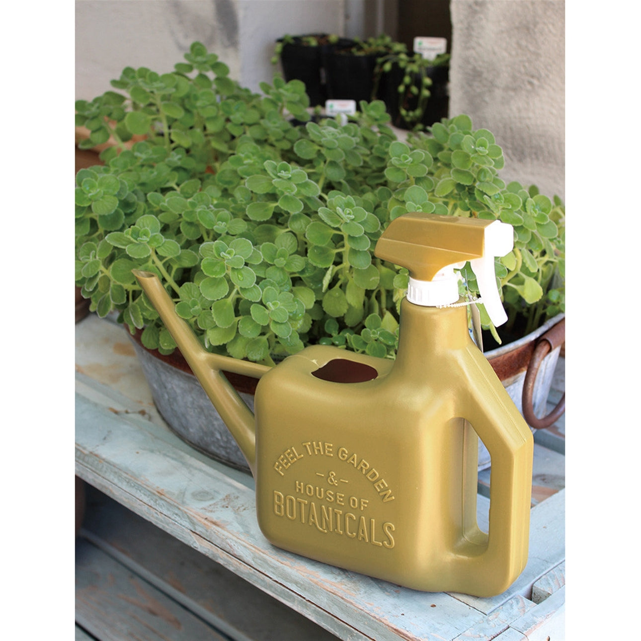 Watering Can With Sprayer – Plant Society Toronto