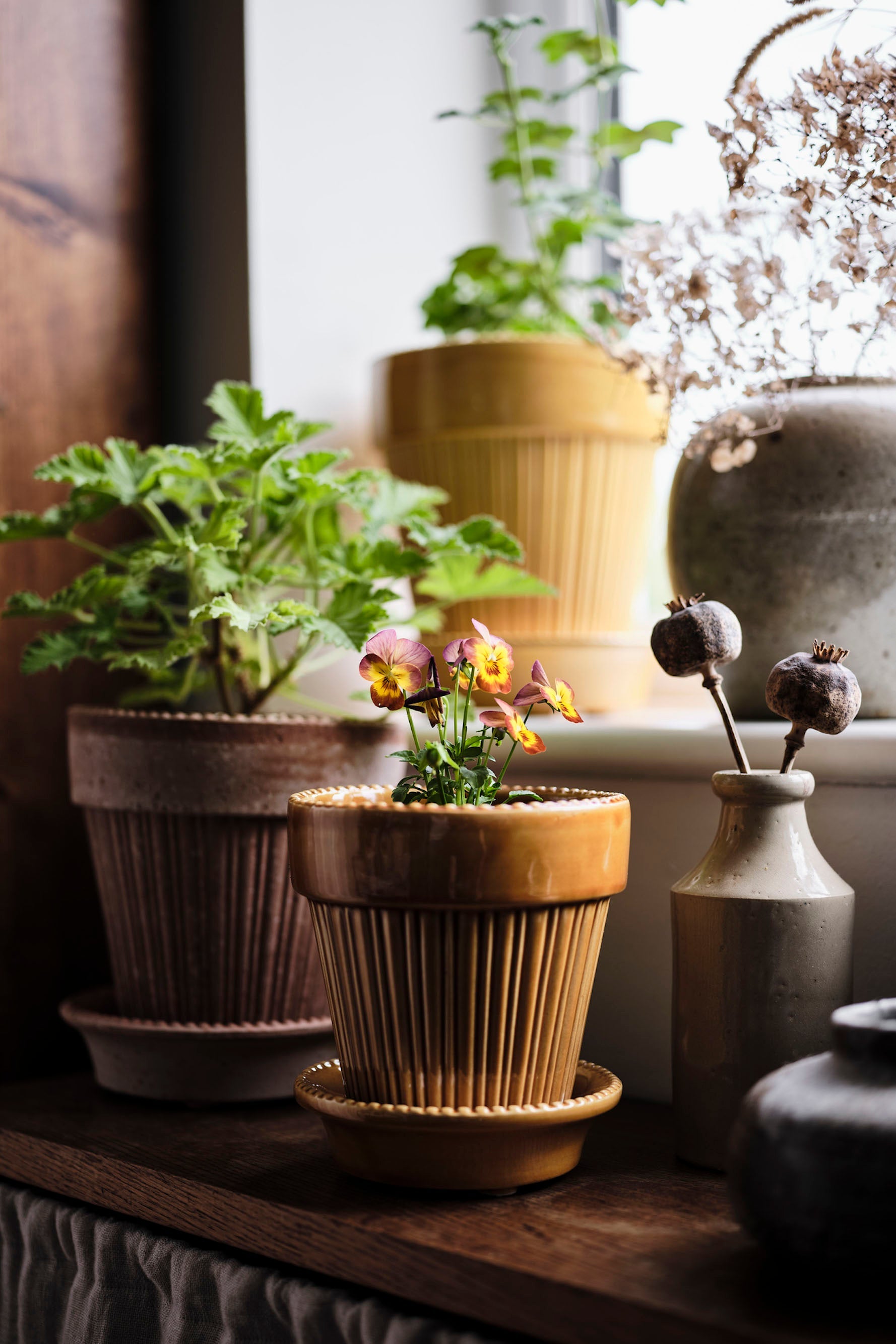 Simona Pot, Glazed | Plant Society Toronto