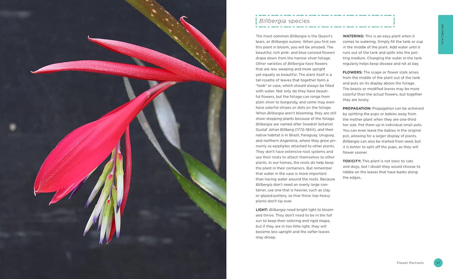 Bloom: The Secrets of Growing Flowering Houseplants Year-Round Book