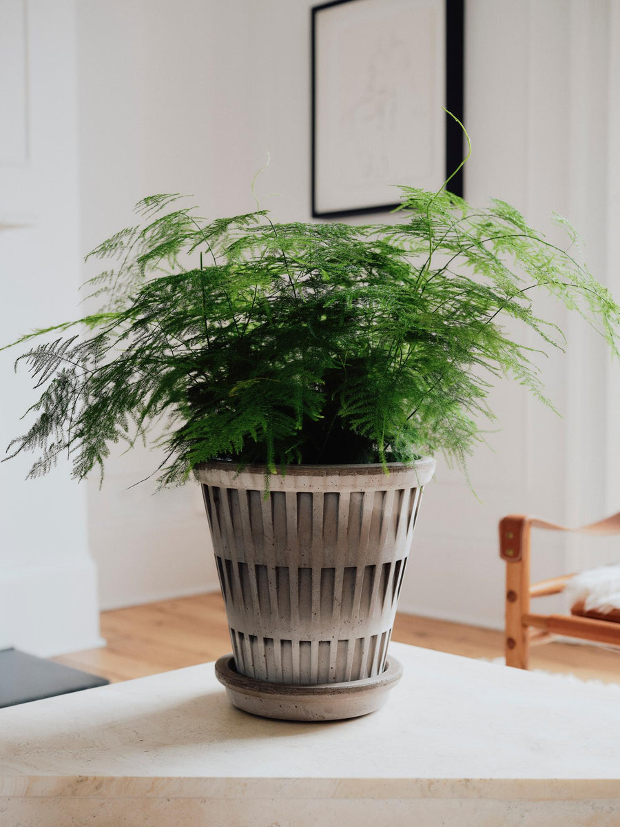 Pantheon Pot