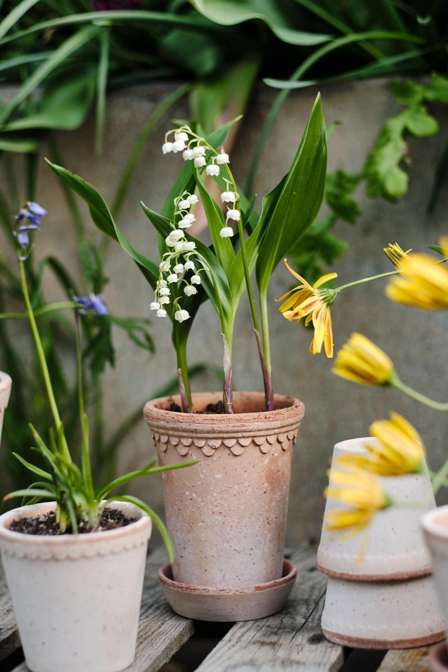 Copenhagen Pot Tall - Preorder