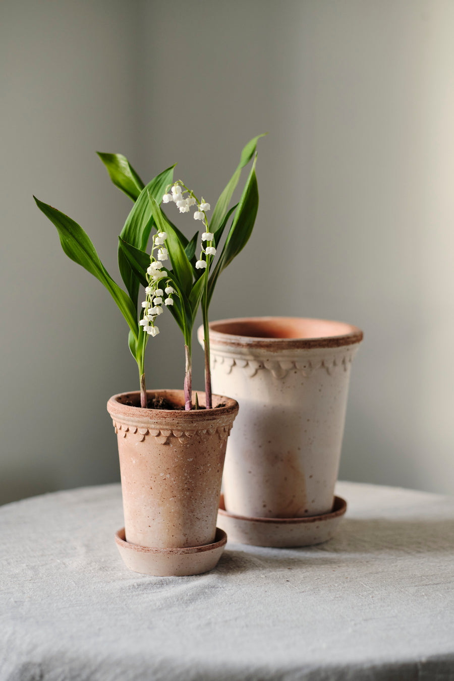Copenhagen Pot Tall - Preorder