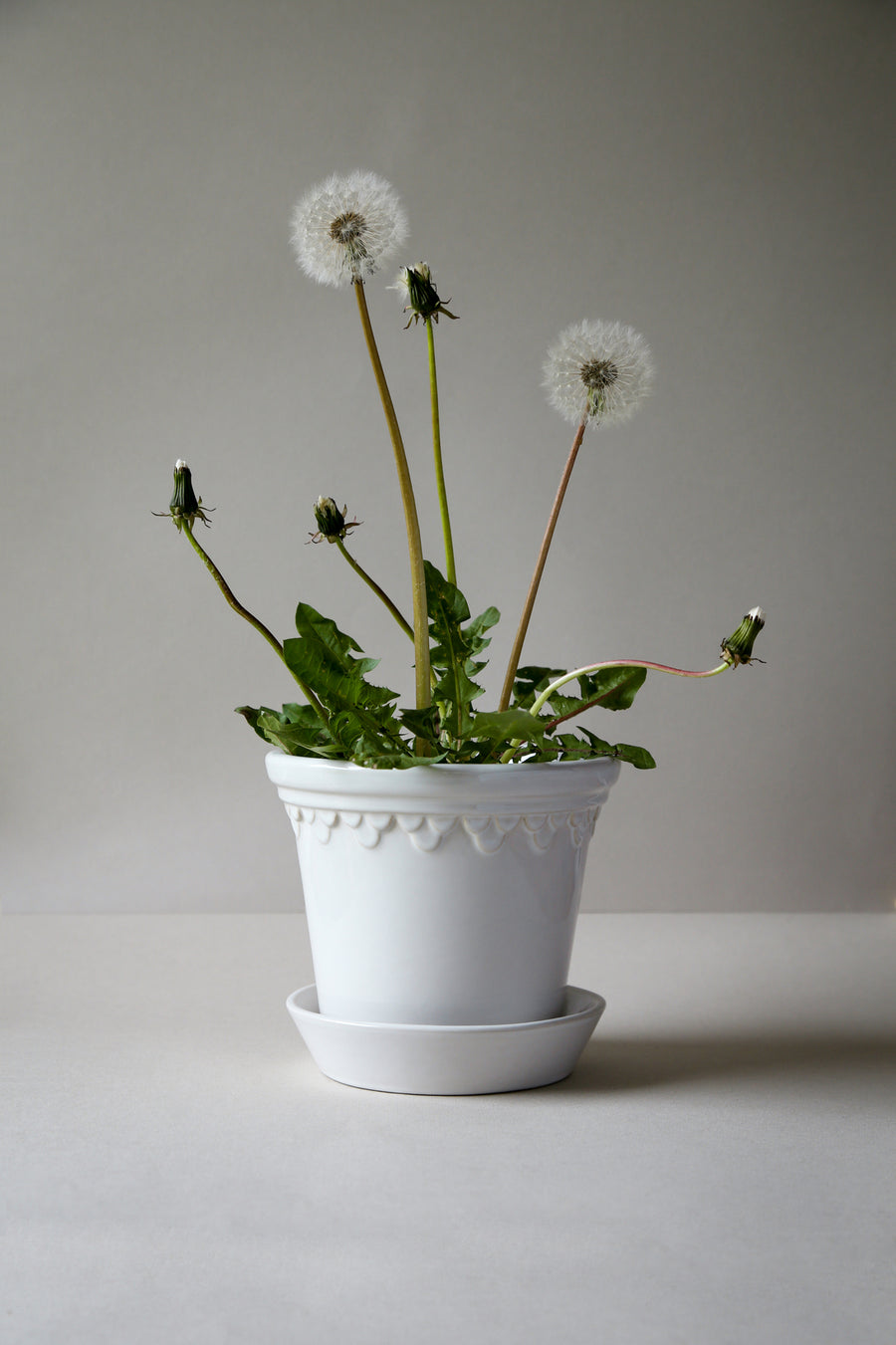 Copenhagen Pot, Glazed