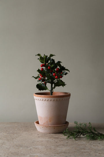 Helena Pot - Preorder