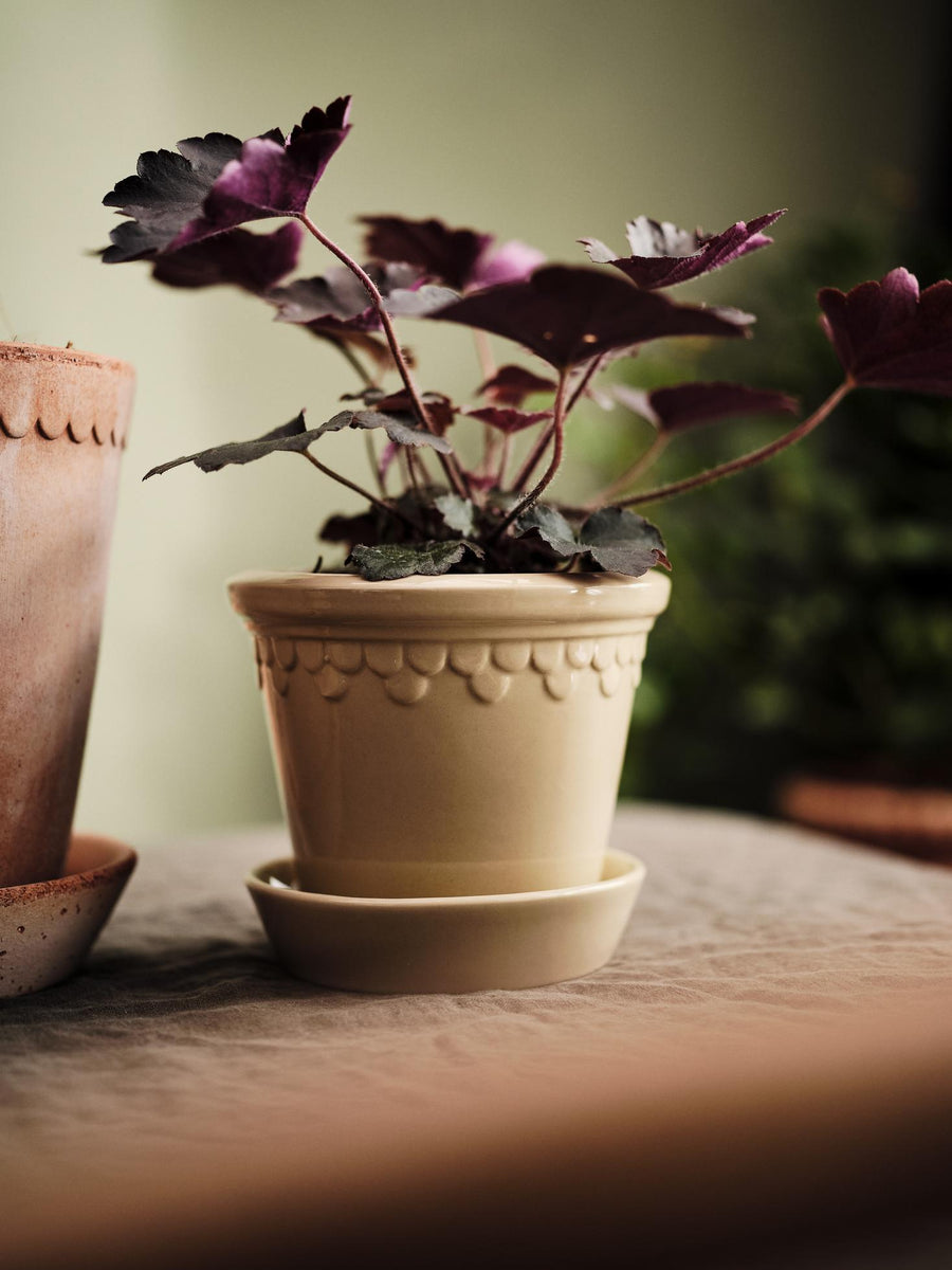 Copenhagen Pot, Glazed - Preorder