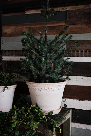 Copenhagen Pot - Preorder