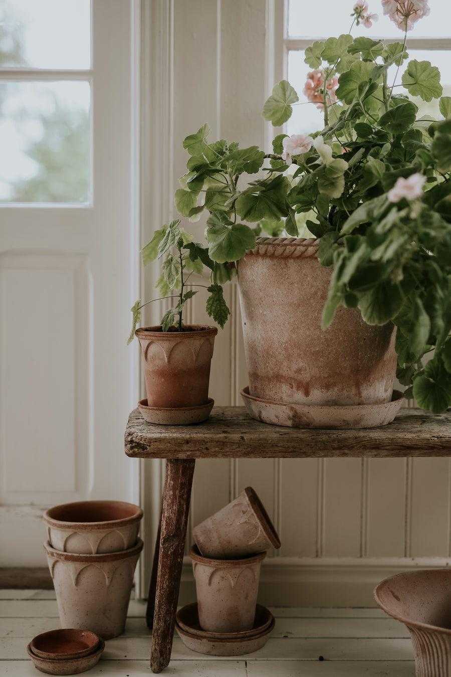 Emilia Pot - Preorder