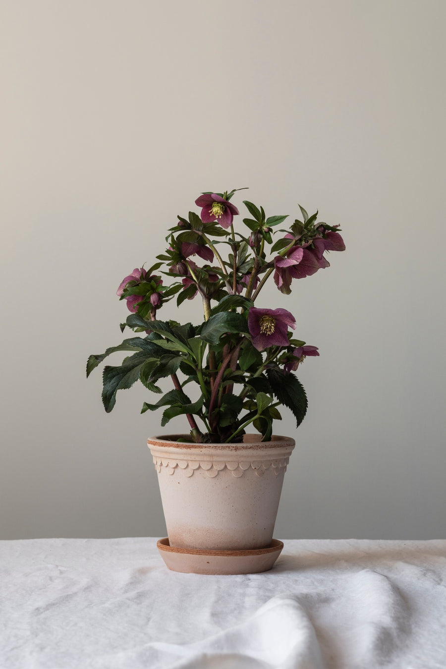 Copenhagen Pot - Preorder