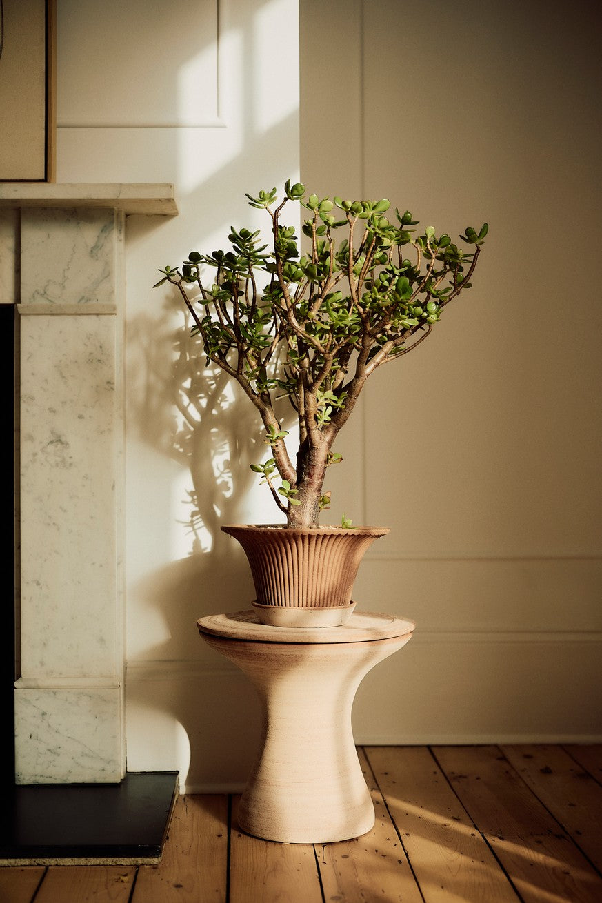 Daisy Pot - Preorder