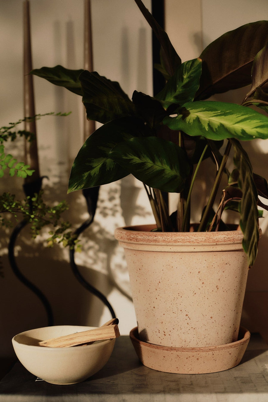 Flora Pot - Preorder