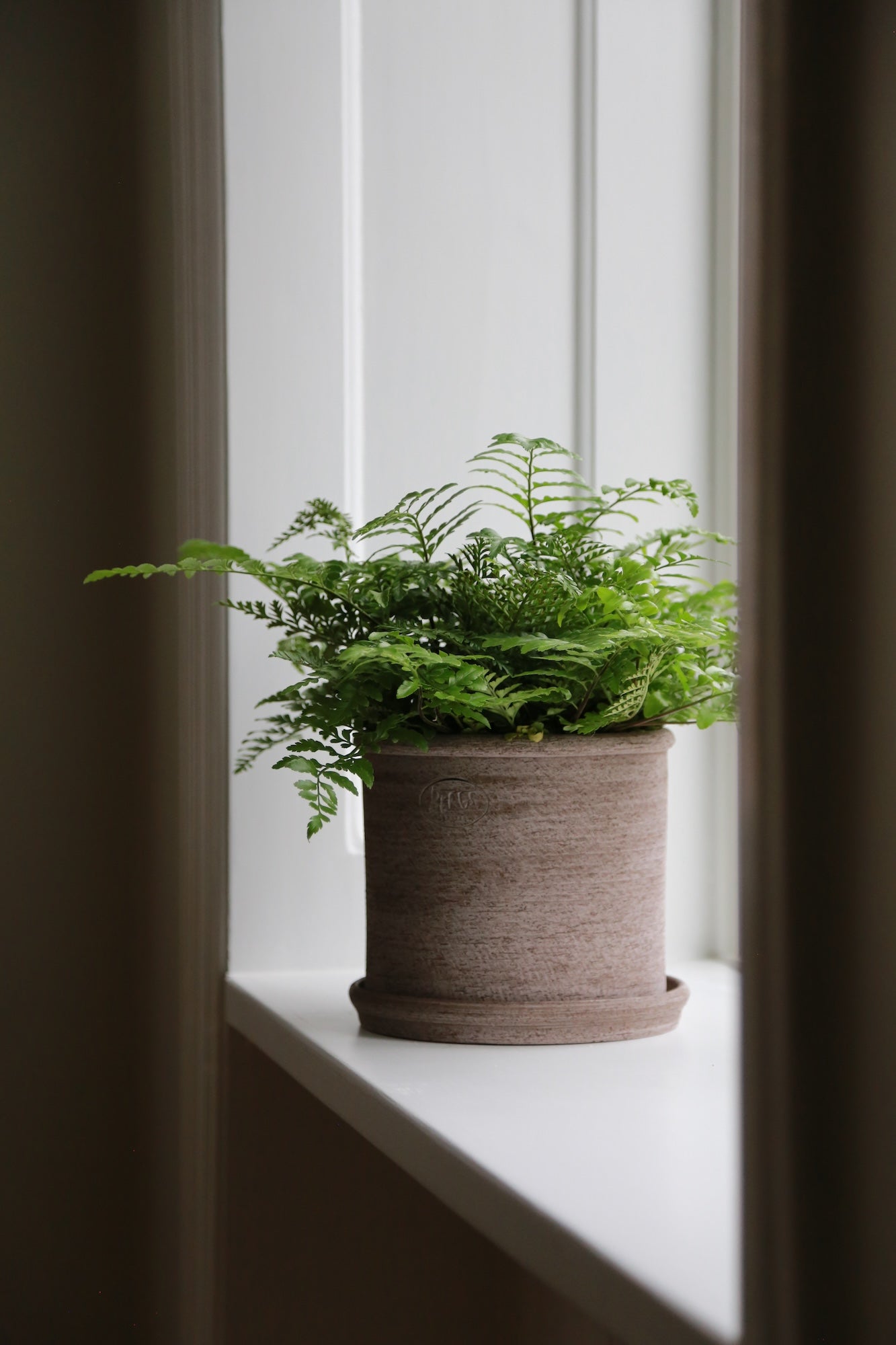 Modena Rustic Pot | Plant Society Toronto