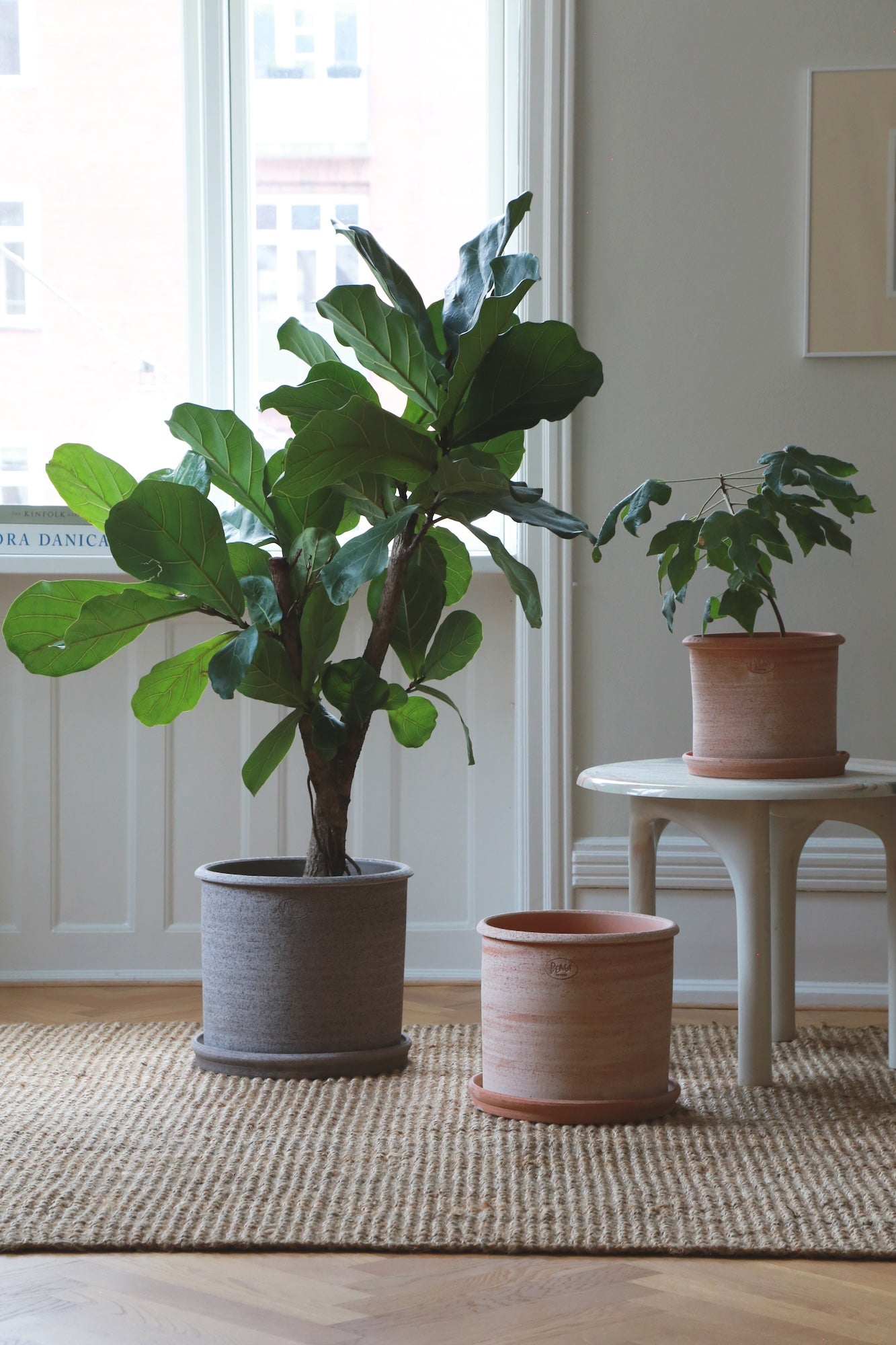 Modena Rustic Pot | Plant Society Toronto