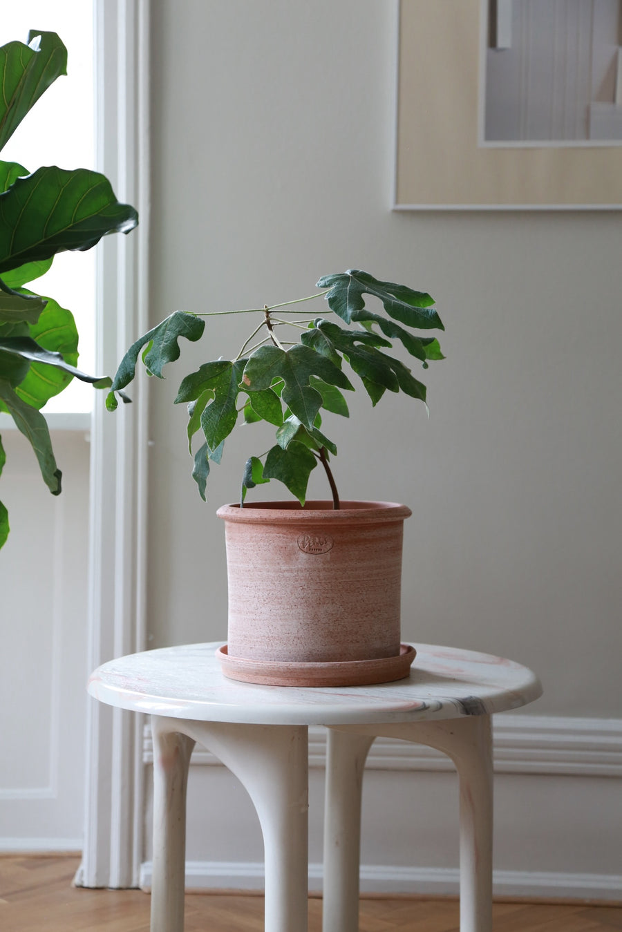 Modena Rustic Pot