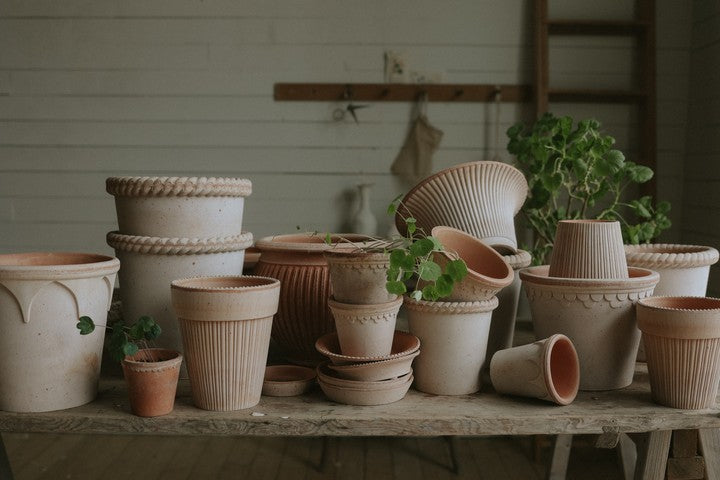 Emilia Pot | Plant Society Toronto
