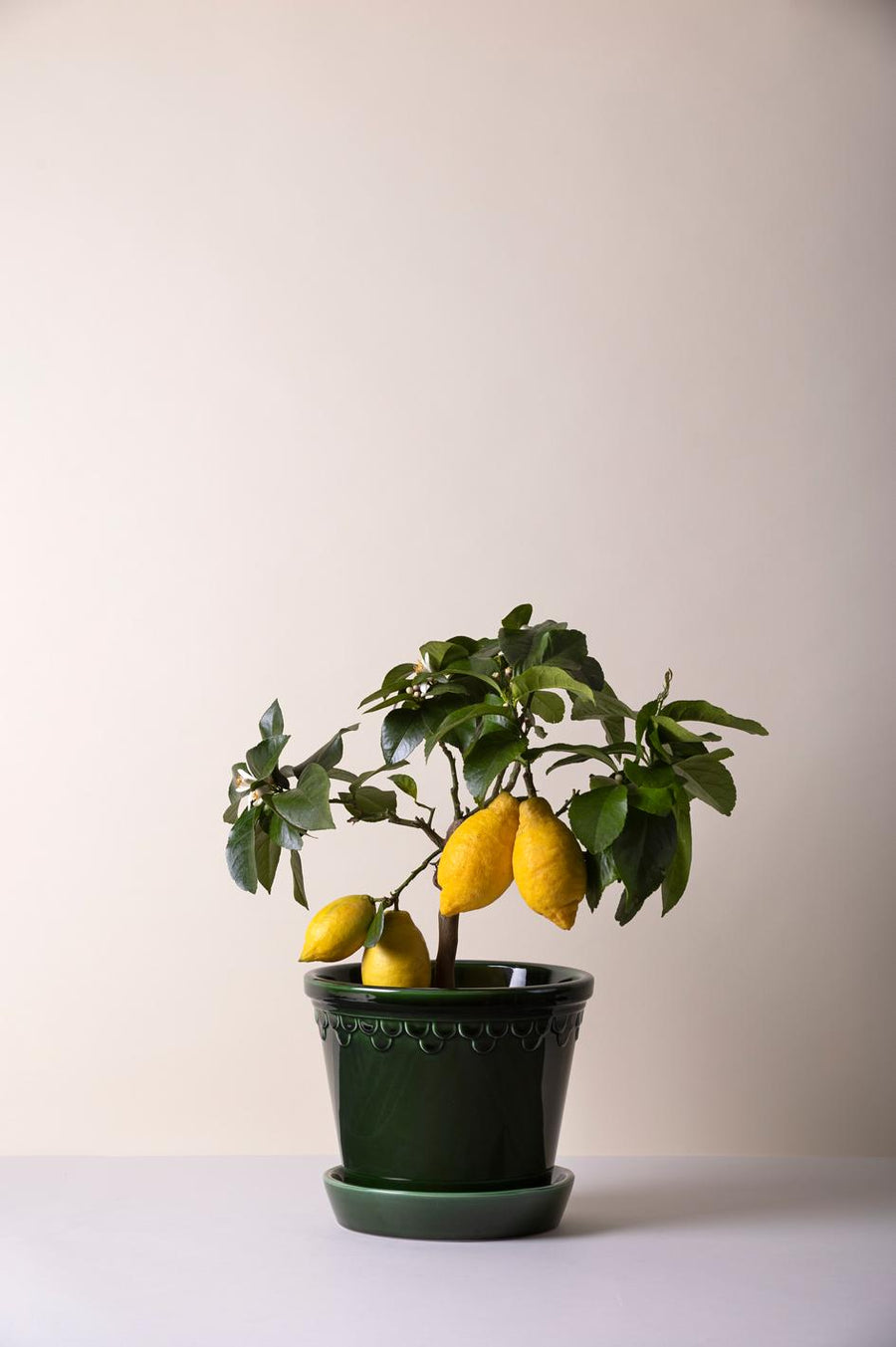Copenhagen Pot, Glazed - Preorder
