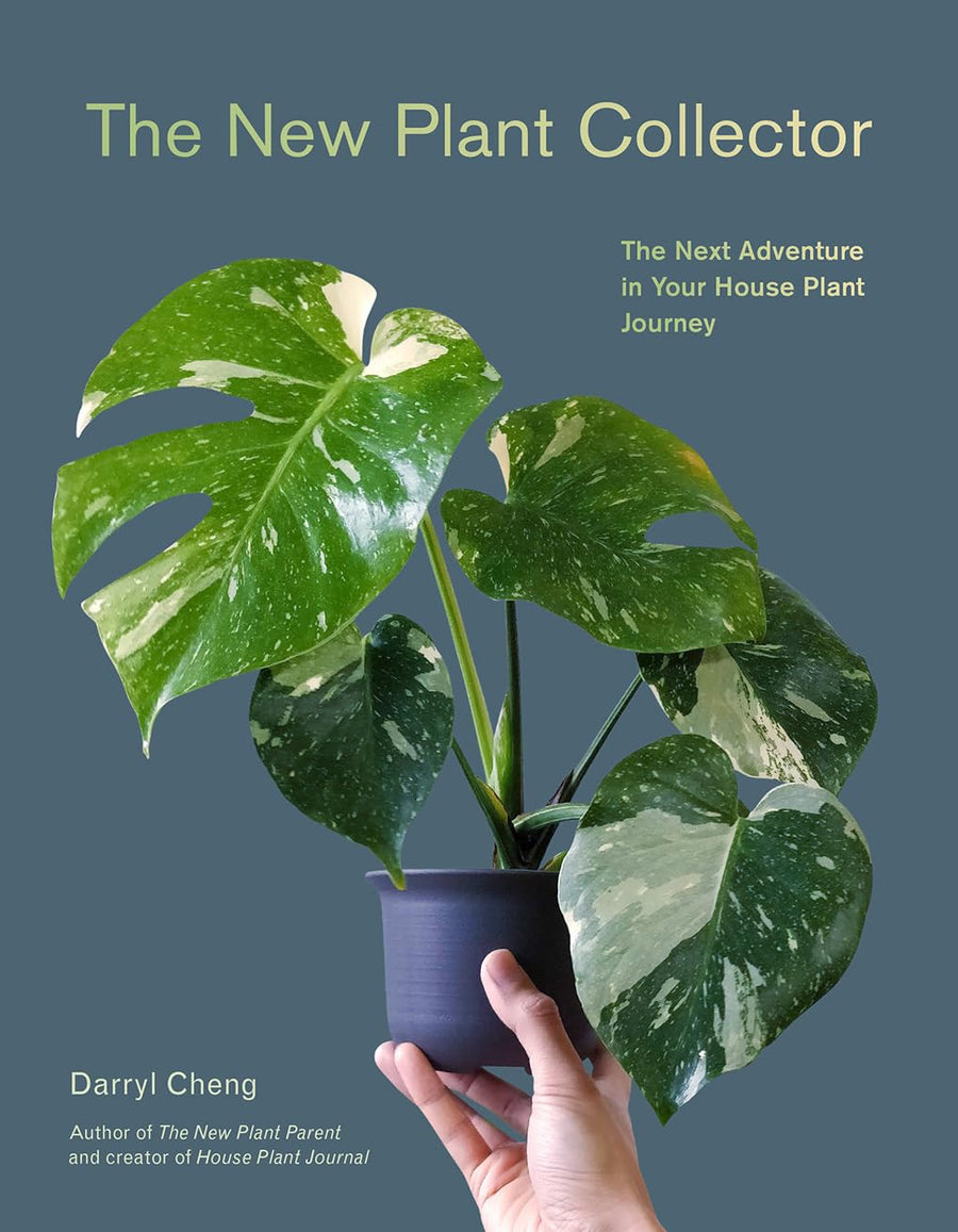 The New Plant Collector: The Next Adventure in Your House Plant Journey