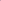 Tradescantia Pink Paradise