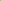 Kangaroo Paw Fern