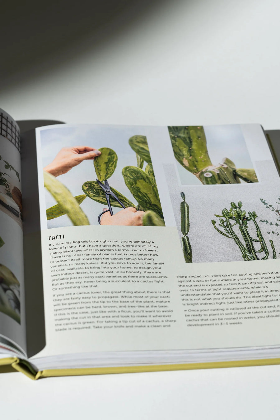 The Propagation Handbook