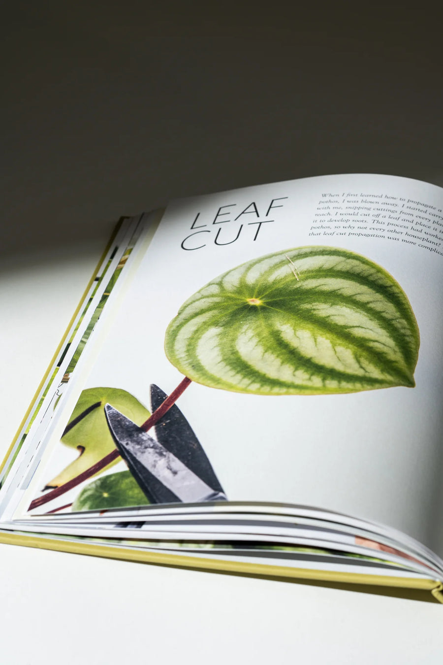 The Propagation Handbook