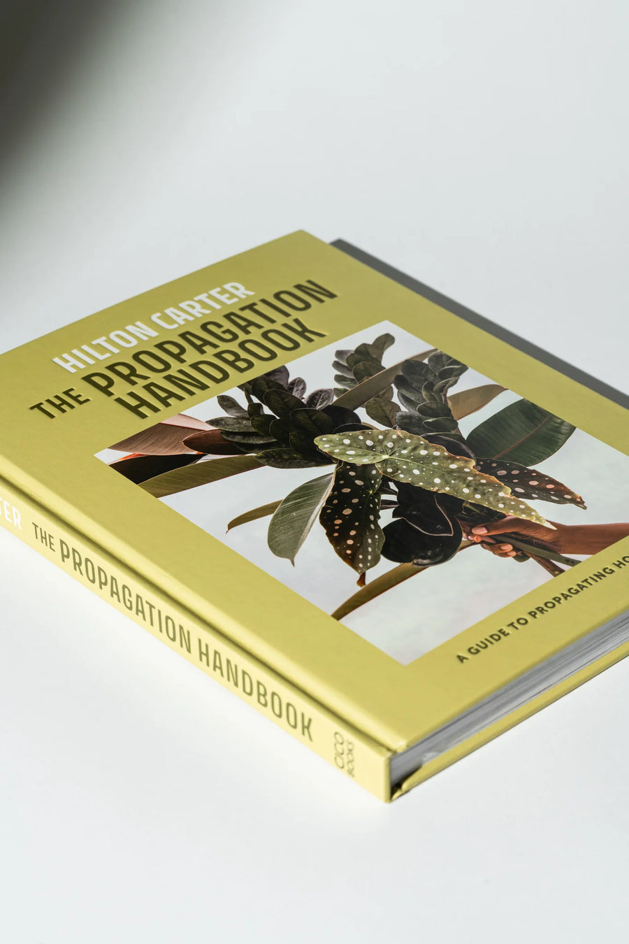 The Propagation Handbook