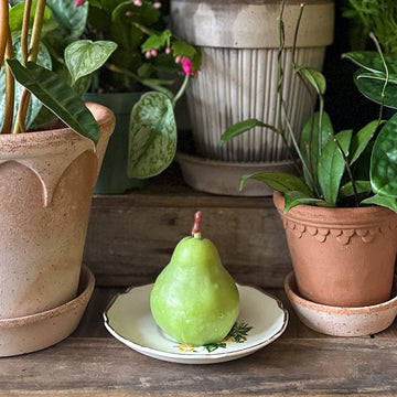 Pear Candle
