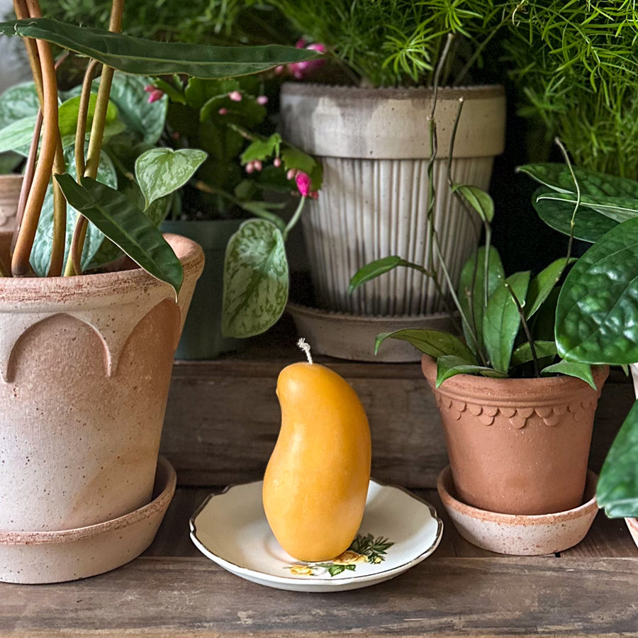 Mango Candle