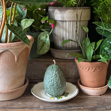 Avocado Candle