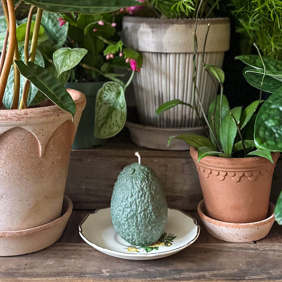 Avocado Candle