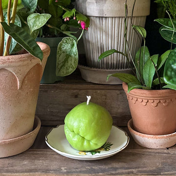 Chayote Candle