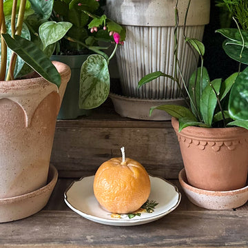 Tangerine Candle