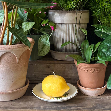 Lemon Candle