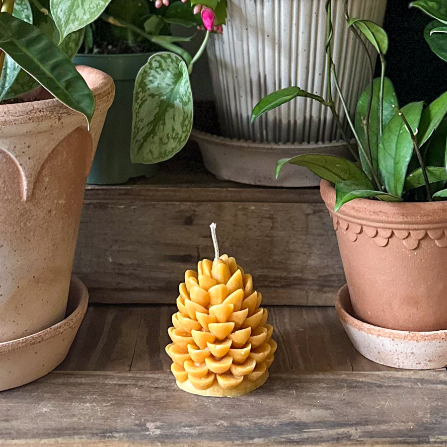 Rustic Pine Cone Candle
