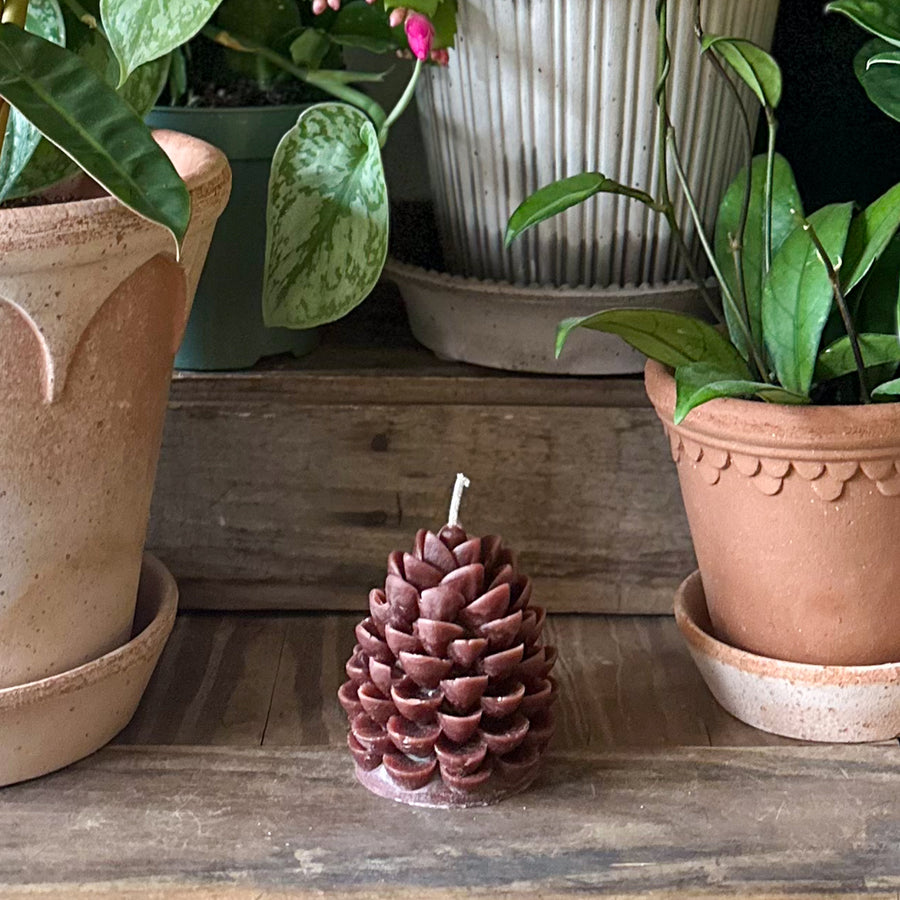 Rustic Pine Cone Candle