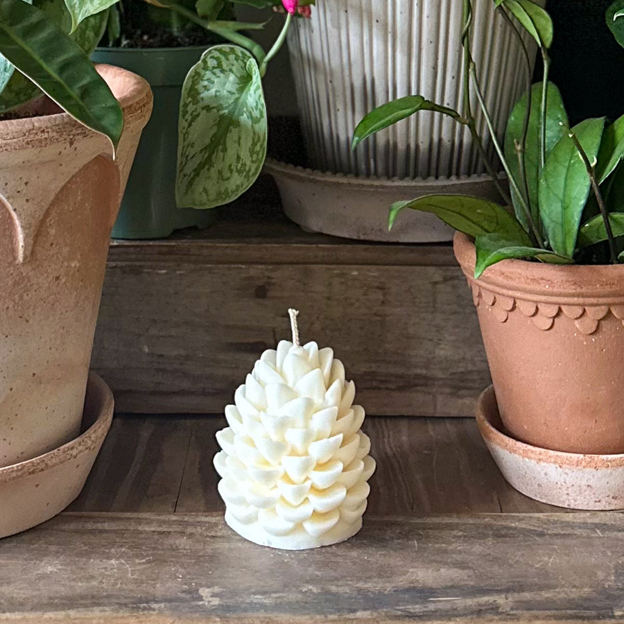Rustic Pine Cone Candle