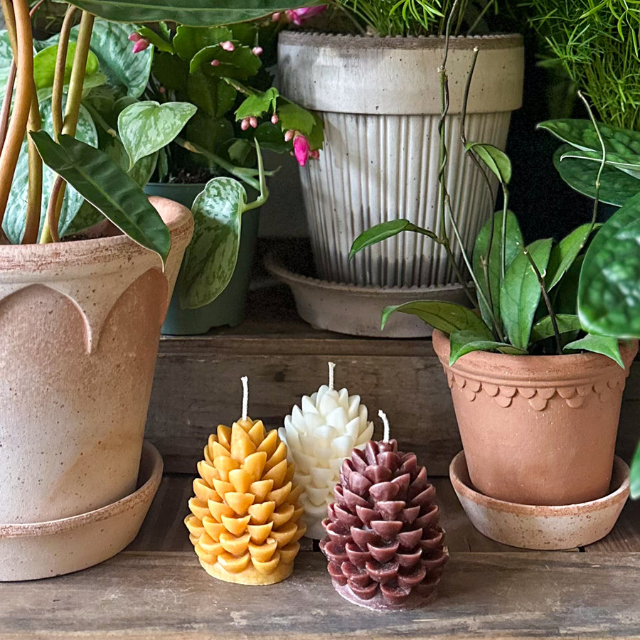 Rustic Pine Cone Candle
