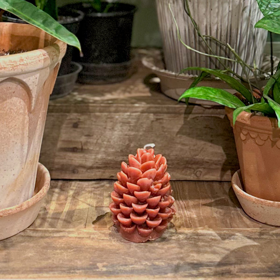 Rustic Pine Cone Candle