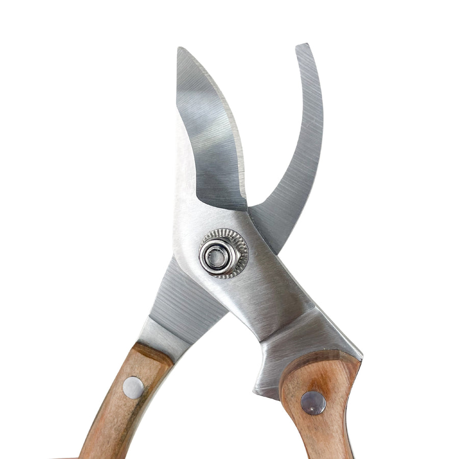 Garden Shears