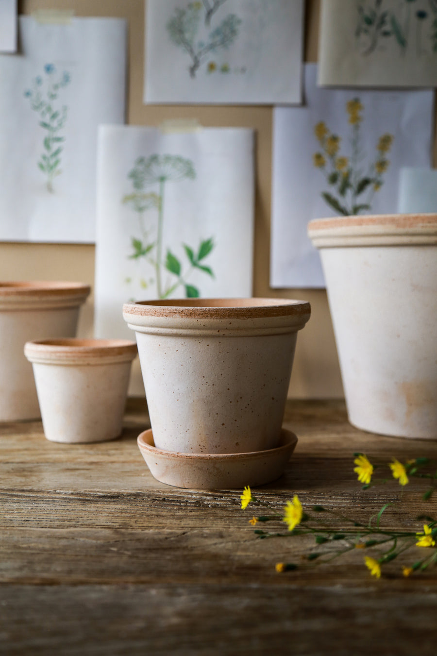 Flora Pot