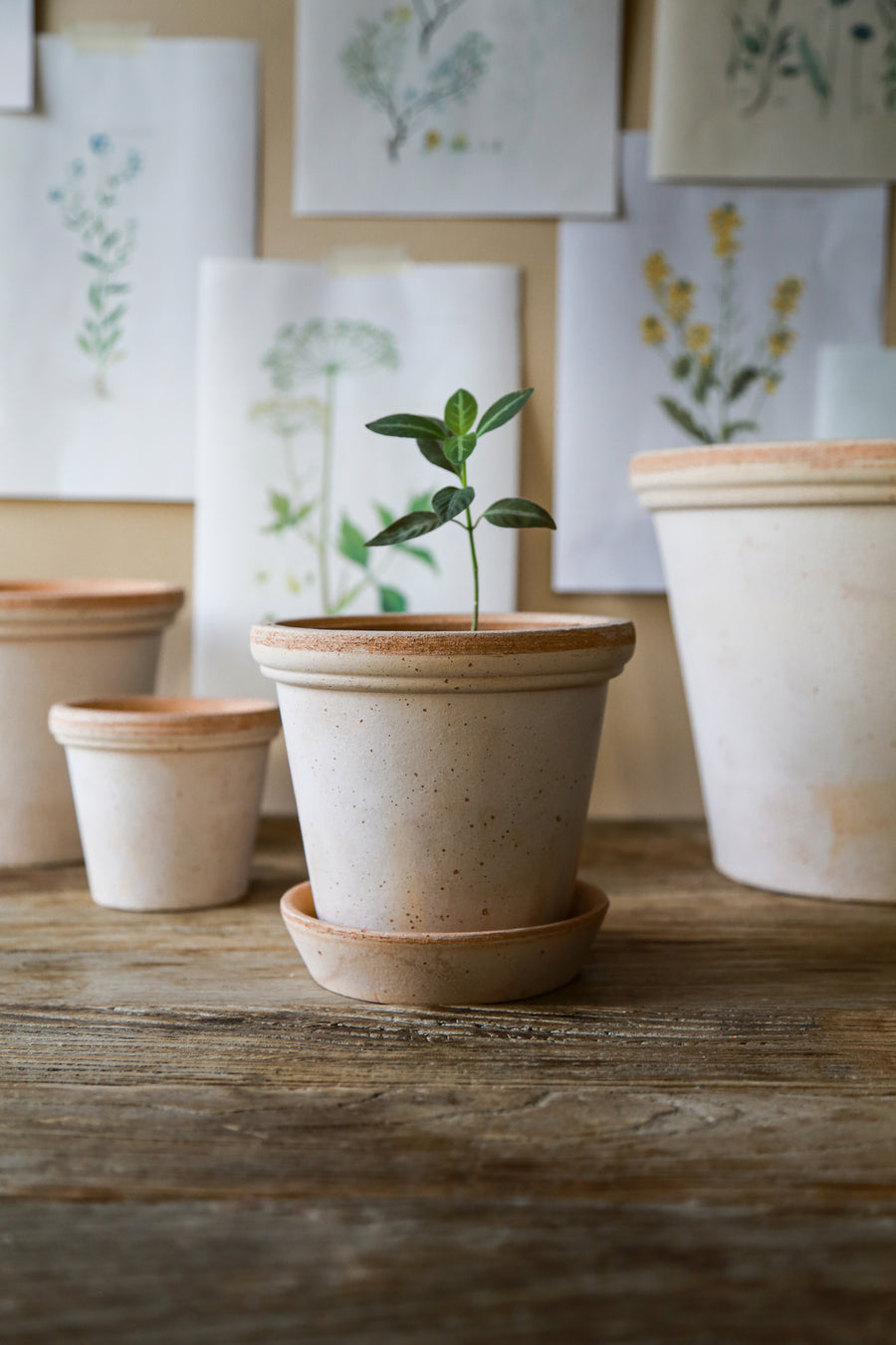 Flora Pot