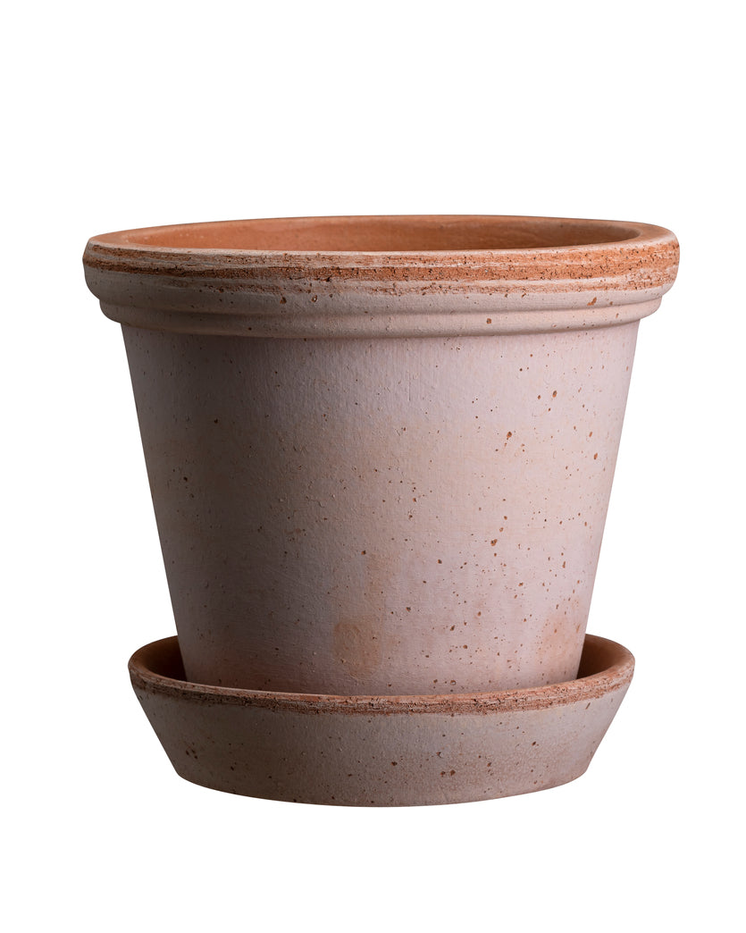 Flora Pot