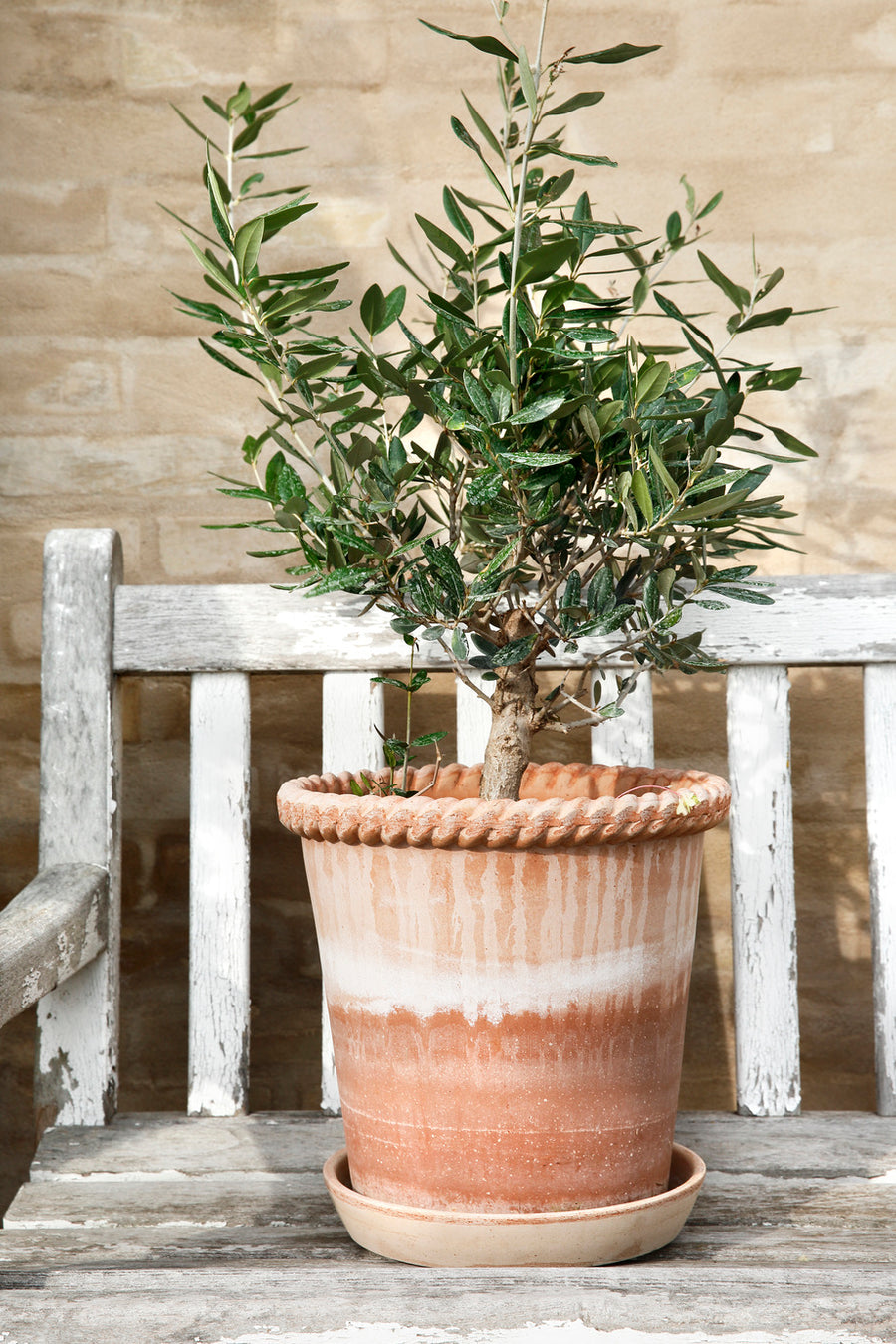 Emilia Pot - Preorder
